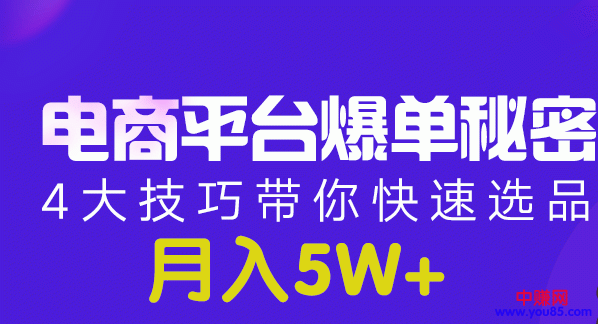 图片[2]-（950期）电商平台爆单 月入5W+的秘密：4大技巧带你快速选品(8节视频课)-副业城