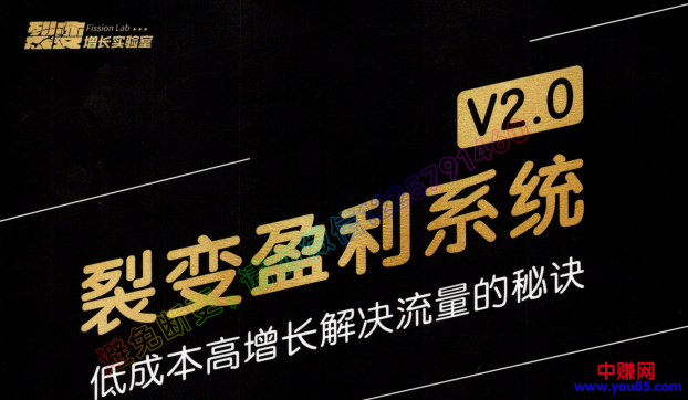 图片[2]-（955期）低成本高增长解决流量的秘诀《裂变盈利系统V2.0》视频+文档-副业城