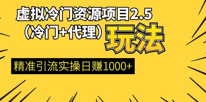 （1185期）虚拟冷门资源项目2.5（冷门&代理玩法） 精准引流实操日赚1000+(更新中)-副业城