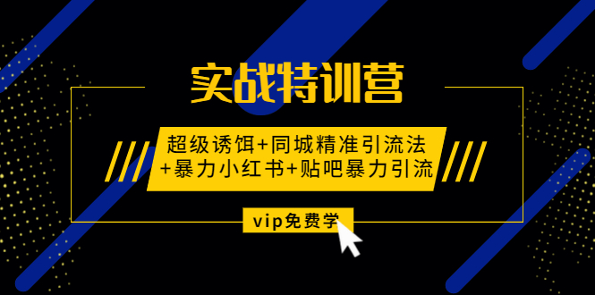 （1314期）实战特训营:超级诱饵+同城精准引流法+暴力小红书+贴吧暴力引流（视频课程）-副业城