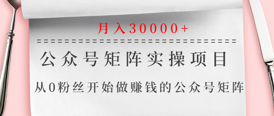 （1332期）公众号矩阵实操项目，从0粉丝开始做赚钱的公众号矩阵，月入30000+-副业城