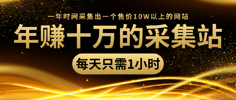 （1418期）年赚十万的采集站，每天1小时，一年采集出一个售价10W的网站（无水印）-副业城