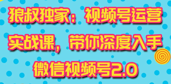 （1521期）视频号运营实战课2.0，目前市面上最新最全玩法，快速吸粉吸金（10节视频）-副业城
