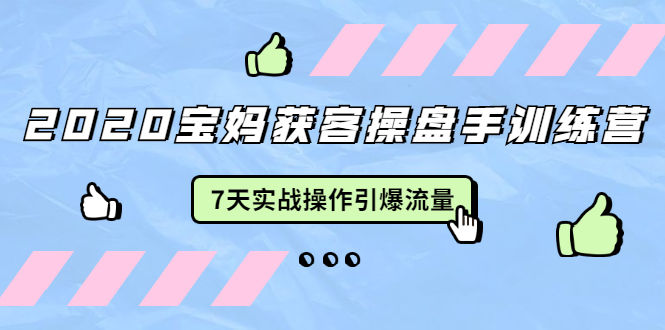 （1542期）2020宝妈获客操盘手训练营：7天实战操作引爆 母婴、都市、购物宝妈流量-副业城