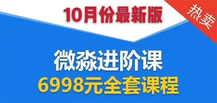 （1553期）微淼理财进阶课全套视频：助你早点实现财务自由，理论学习+案例分析+实操-副业城