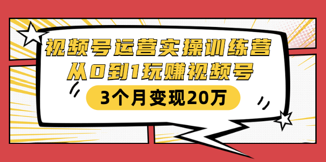 （1596期）视频号运营实操训练营：从0到1玩赚视频号，3个月变现20万-副业城