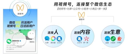 图片[3]-（1656期）从0到1带你玩赚视频号：这么玩才赚钱，日引流500+日收入1000+核心玩法-副业城