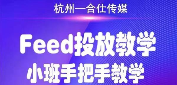 （1749期）合仕传媒Feed投放教学，手把手教学，开车烧钱必须自己会！-副业城