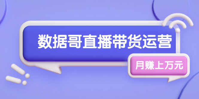 （1761期）数据哥直播带货运营线上进阶课，让普通人也能靠直播月赚上万元-副业城
