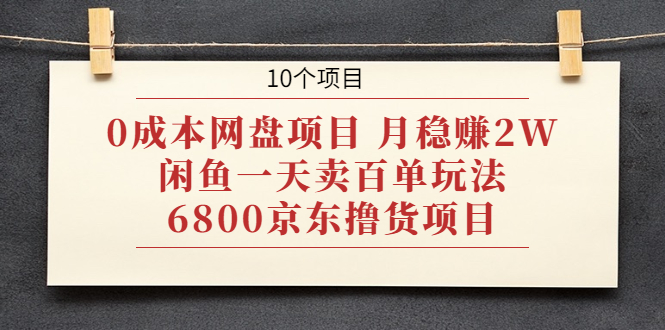 （1928期）0成本网盘项目 月稳赚2W+闲鱼一天卖百单玩法+6800京东撸货项目 (10个项目)-副业城