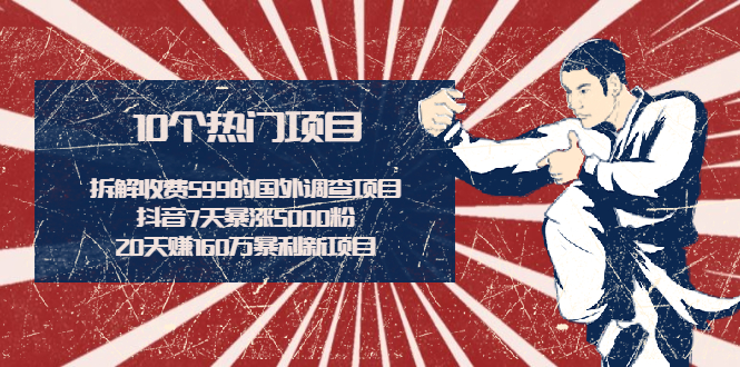 （1938期）拆解收费599的国外调查项目+抖音7天暴涨5000粉+20天赚160万暴利新项目-副业城