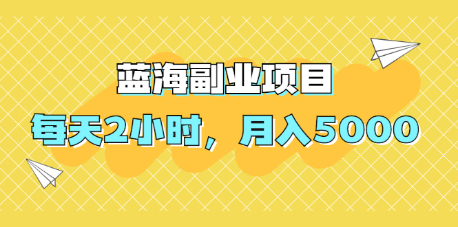 （1953期）蓝海副业项目，每天2小时，月入5000，附详细操作流程-副业城