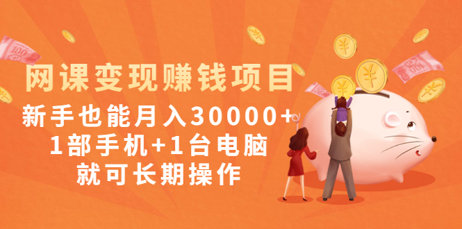 （1990期）网课变现赚钱项目：新手也能月入30000+1部手机+1台电脑就可长期操作-副业城