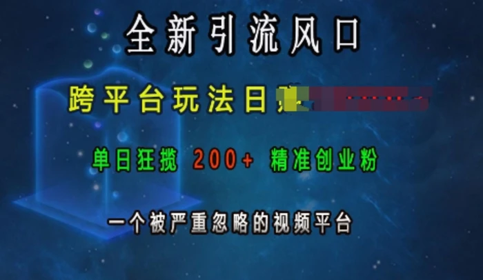 全新引流风口，跨平台玩法日入上k，单日狂揽200+精准创业粉，一个被严重忽略的视频平台-副业网