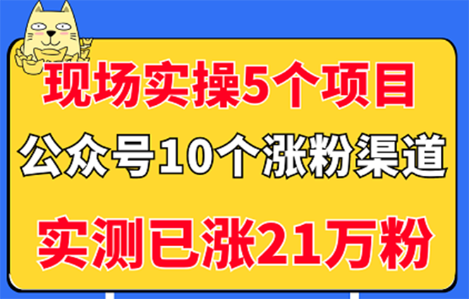 （2947期）现场实操5个公众号项目，10个涨粉渠道，实测已涨21万粉！-副业城