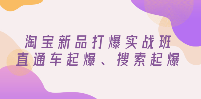 （2816期）淘宝新品打爆实战班，直通车起爆、搜索起爆（价值599元）-副业城