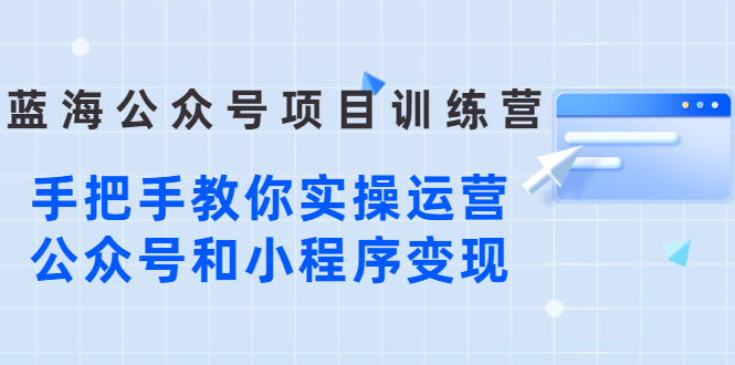 （2633期）蓝海公众号项目训练营，手把手教你实操运营公众号和小程序变现-副业城