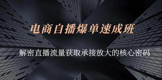 （2584期）电商自播爆单速成班：解密直播流量获取承接放大的核心密码-副业城