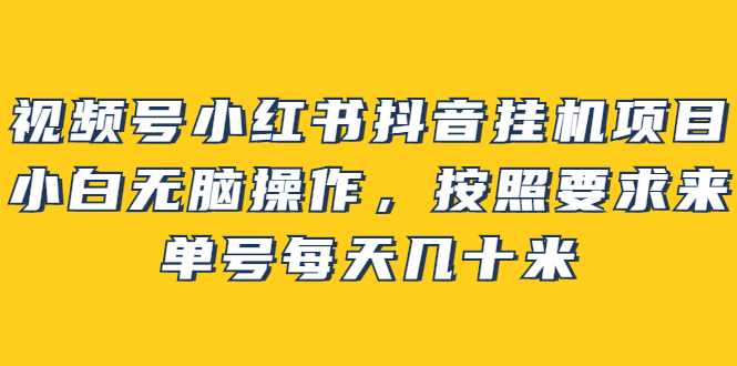 （2437期）视频号小红书抖音挂机项目，小白无脑操作，按照要求来，单号每天几十米-副业城