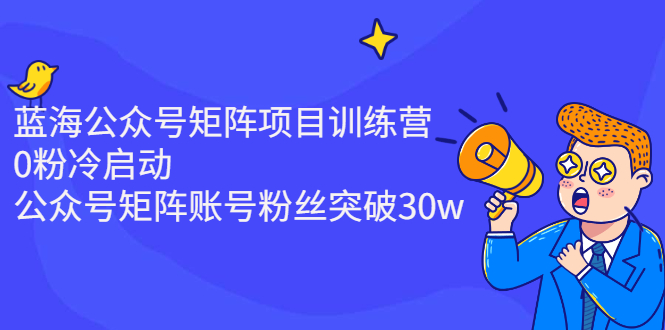 （2405期）蓝海公众号矩阵项目训练营，0粉冷启动，公众号矩阵账号粉丝突破30w-副业城