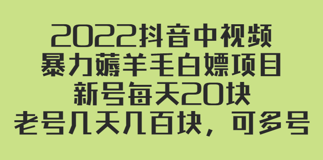 （2402期）2022抖音中视频暴力薅羊毛白嫖项目：新号每天20块，老号几天几百块，可多号-副业城