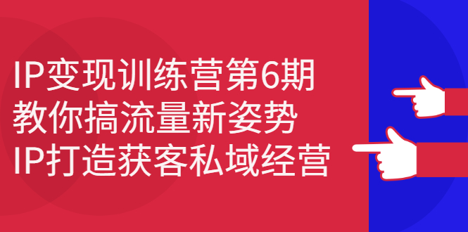 （2351期）IP变现训练营第6期：教你搞流量新姿势，IP打造获客私域经营-副业城