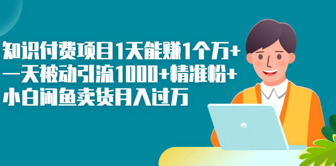 （2251期）知识付费项目1天能赚1个万+一天被动引流1000+精准粉+小白闲鱼卖货月入过万-副业城