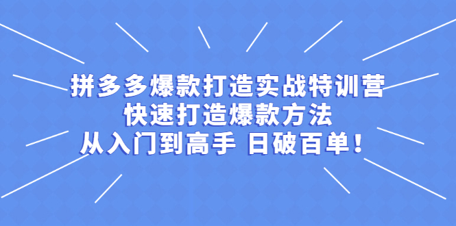 （2237期）拼多多爆款打造实战特训营：快速打造爆款方法，从入门到高手 日破百单-副业城