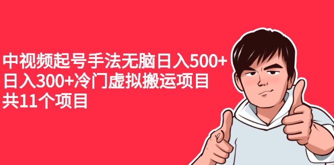 （2224期）中视频起号手法无脑日入500+日入300+冷门虚拟搬运项目（共11个项目）-副业城