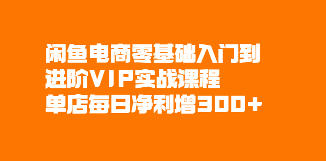 （2082期）闲鱼电商零基础入门到进阶VIP实战课程，单店每日净利增300+-副业城