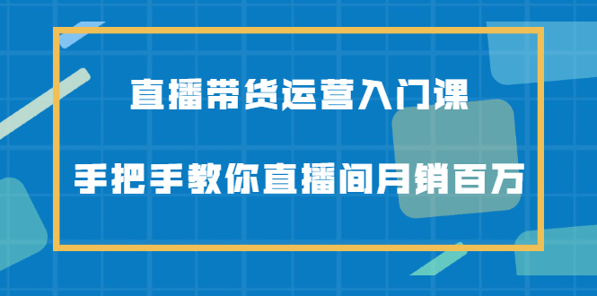 （2078期）直播带货运营入门课，手把手教你直播间月销百万-副业城