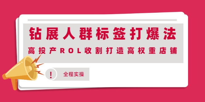 （2018期）钻展人群标签打爆法，高投产ROL收割打造高权重店铺(全程实操)-副业城