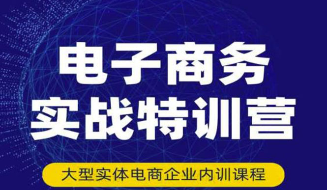 （3101期）电子商务实战特训营，全方位带你入门电商，308种方式玩转电商-副业城