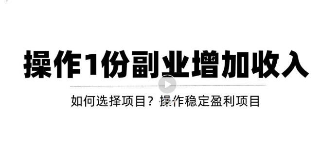 （3217期）新手如何通过操作副业增加收入，从项目选择到玩法分享！【视频教程】-副业城