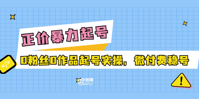 （3377期）正价暴力起实操号：0粉丝0作品起号实操，微付费稳号-副业城