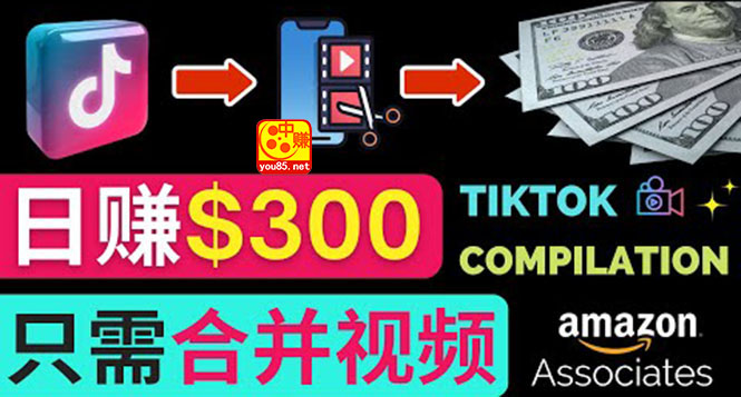 （3360期）搬运Tiktok短视频到Youtube赚钱，只需下载，合并视频，日赚300美元-副业城