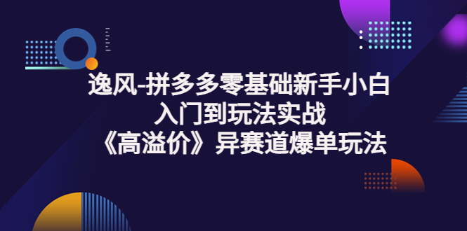 （3435期）逸风-拼多多零基础新手小白入门到玩法实战《高溢价》异赛道爆单玩法实操课-副业城