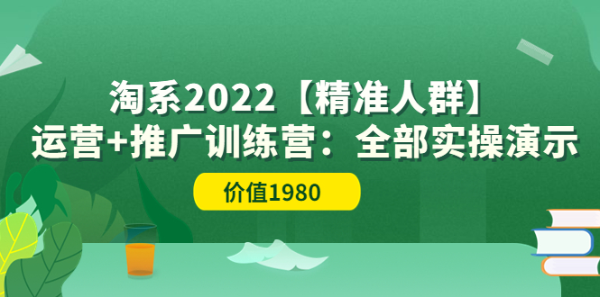 （3516期）淘系2022【精准人群】运营+推广训练营：全部实操演示-副业城