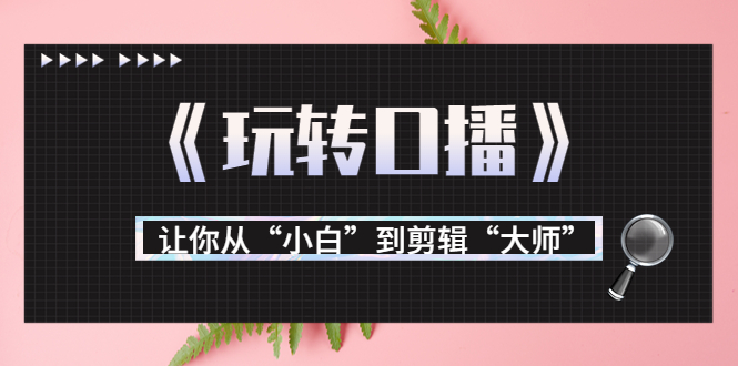 （3571期）月营业额700万+大佬教您《玩转口播》让你从“小白”到剪辑“大师”-副业城