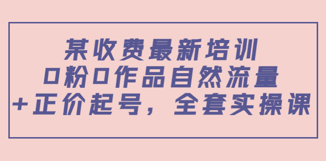 （3648期）某收费最新培训：0粉0作品自然流量+正价起号，全套实操课！-副业城