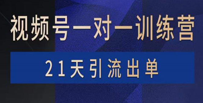 （3678期）视频号训练营：带货，涨粉，直播，游戏，四大变现新方向，21天引流出单-副业城