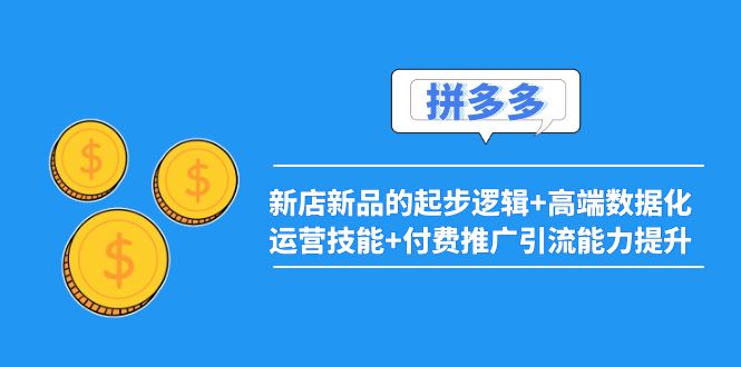 （3824期）2022拼多多：新店新品的起步逻辑+高端数据化运营技能+付费推广引流能力提升-副业城
