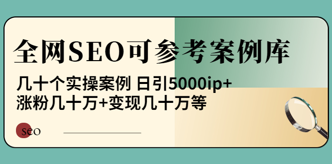 （3834期）《全网SEO可参考案例库》几十个实操案例 日引5000ip+涨粉百W+变现几十W等!-副业城