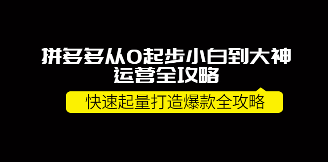 （3884期）拼多多从0起步小白到大神运营全攻略，快速起量打造10W+爆款全攻略！-副业城