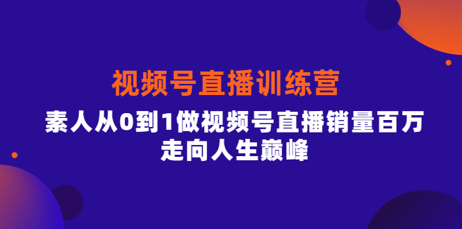 （3927期）行动派·视频号直播训练营，素人从0到1做视频号直播销量百万，走向人生巅峰-副业城