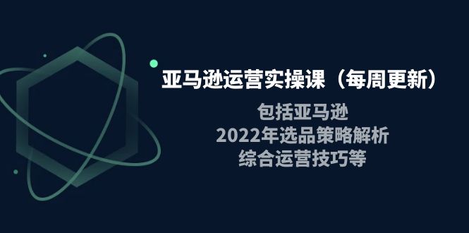 （3955期）亚马逊运营实操课（每周更新）包括亚马逊2022选品策略解析，综合运营技巧等-副业城