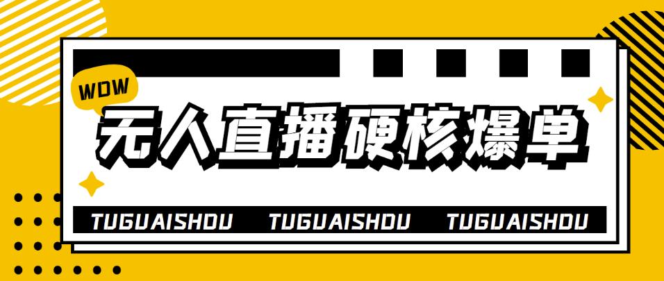 （3980期）大飞无人直播硬核爆单技术，轻松玩转无人直播，暴利躺赚-副业城