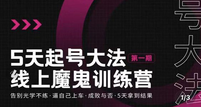 （3121期）五天起号魔鬼训练营，告别光学不练，逼自己上车，成败与否，5天拿到结果-副业城