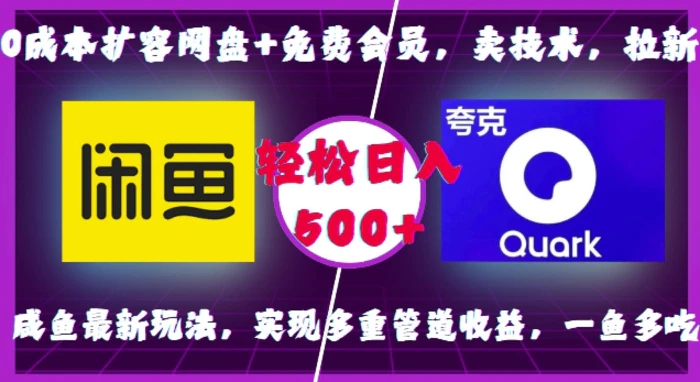 0成本扩容网盘+免费会员，卖技术，拉新，咸鱼最新玩法，实现多重管道收益，一鱼多吃，轻松日入500+-副业城