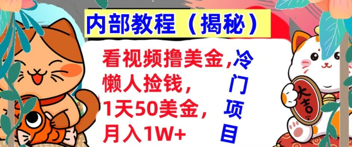 看视频撸美金，懒人捡钱，1天50美金，全自动收入，内部教程，首次公开-副业网